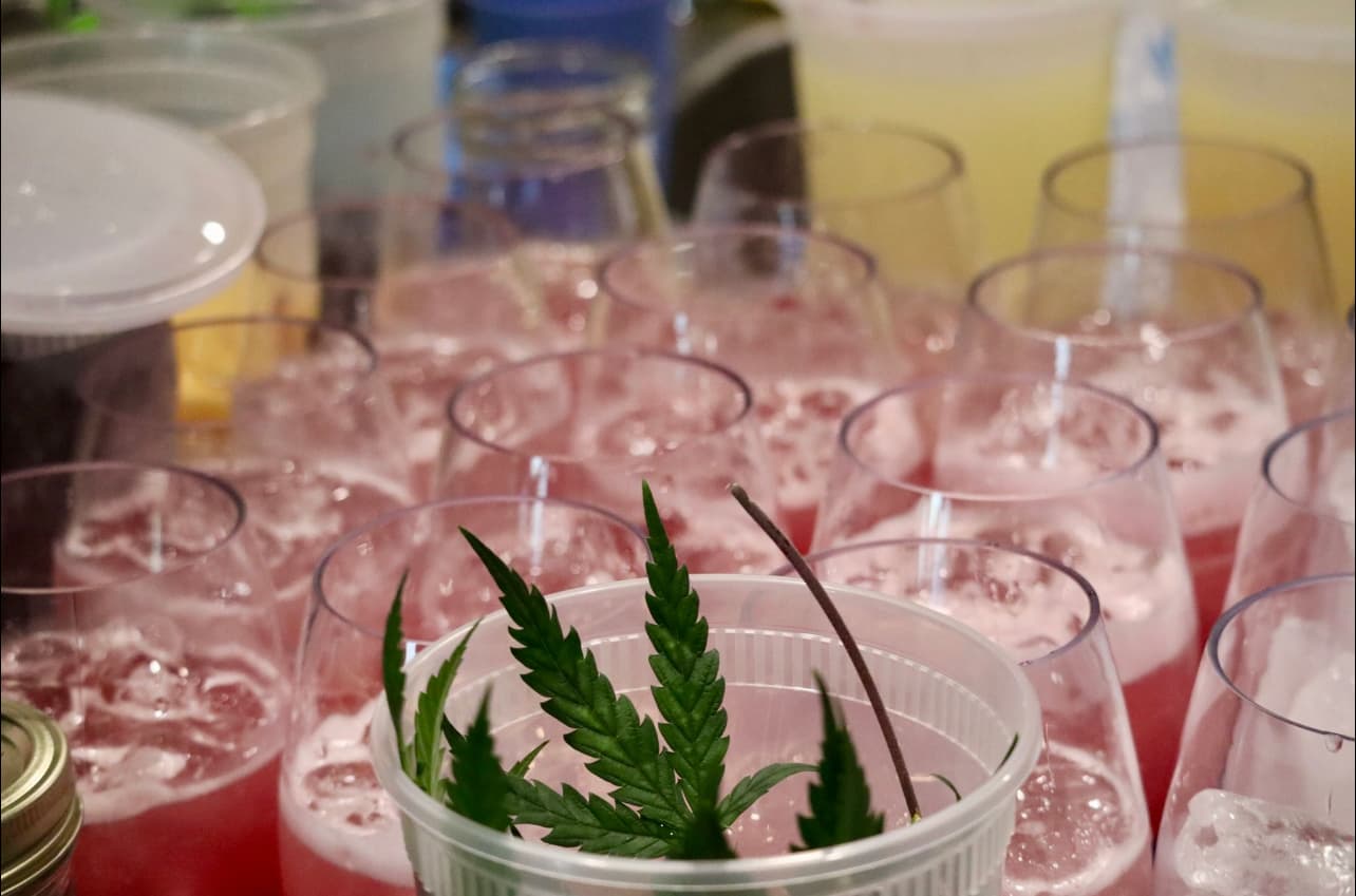 Botanical mocktails with cannabis leaf garnish