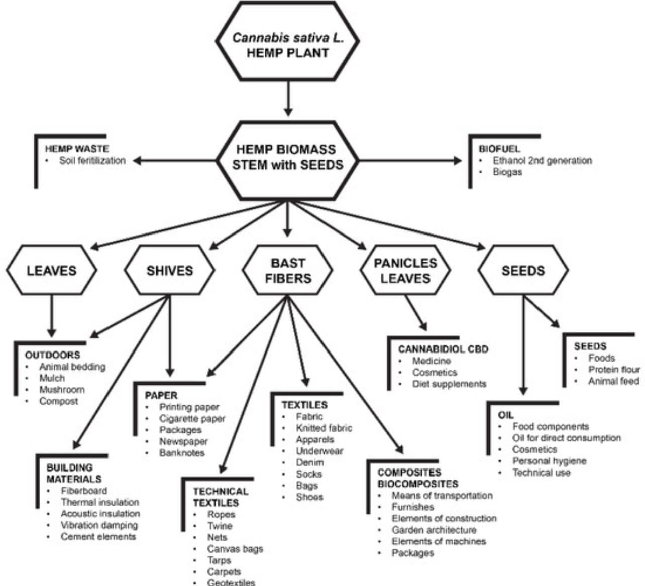 Flowchart connecting hemp biomass and plant parts to food, fiber, paper, building materials, and other uses