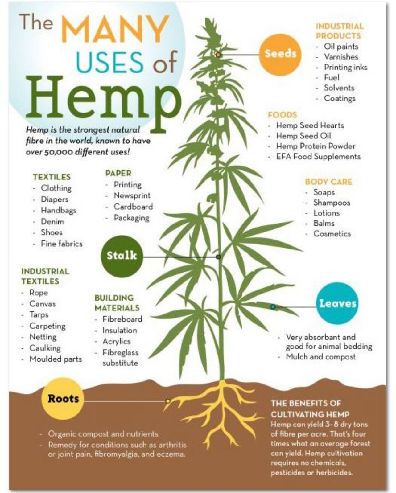 Illustrated guide showing uses for hemp seeds, stalk, leaves, and roots