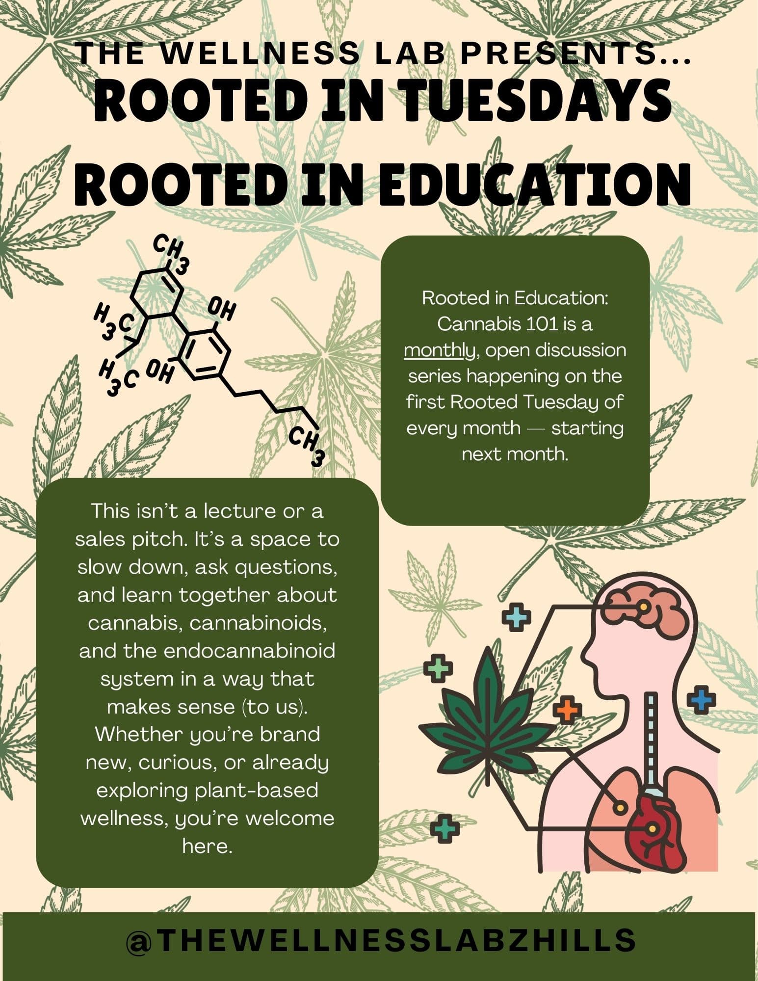 Rooted in Education Cannabis 101 flyer